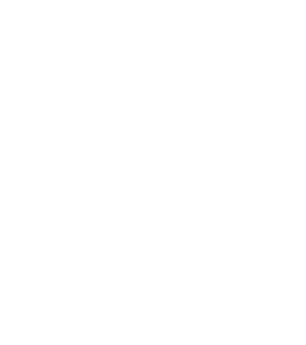 3 Little Pigs