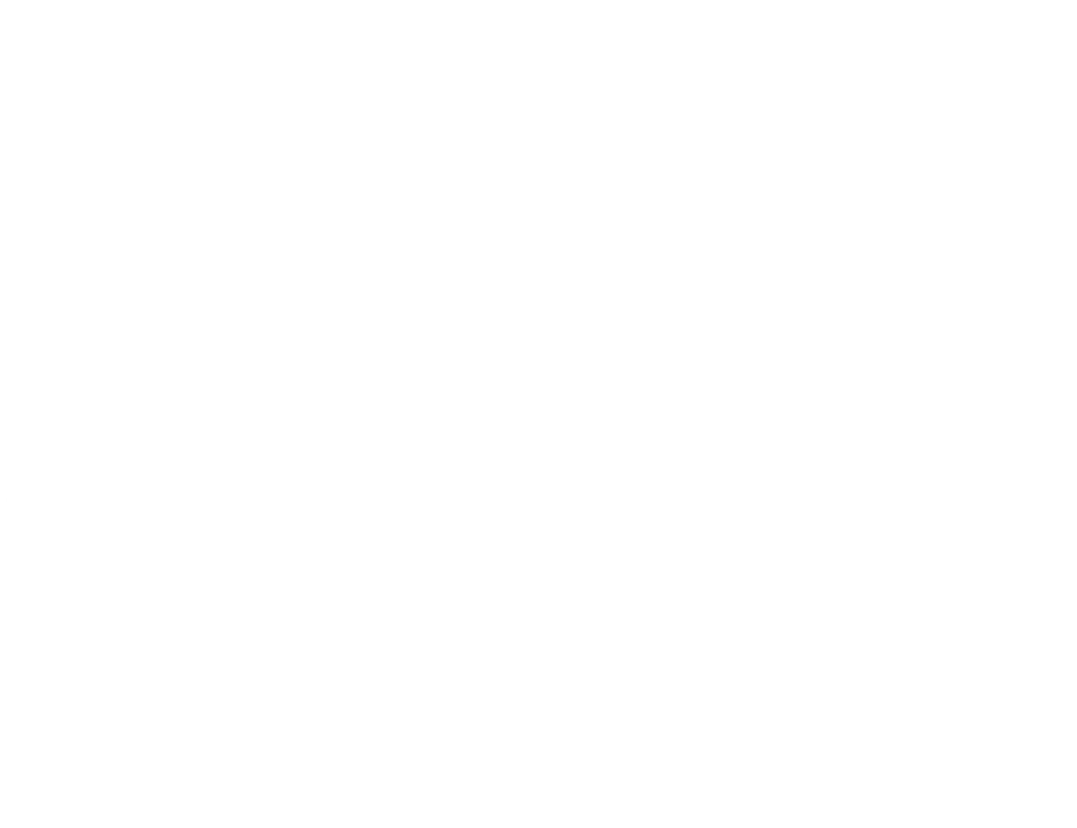 Sir Chicken